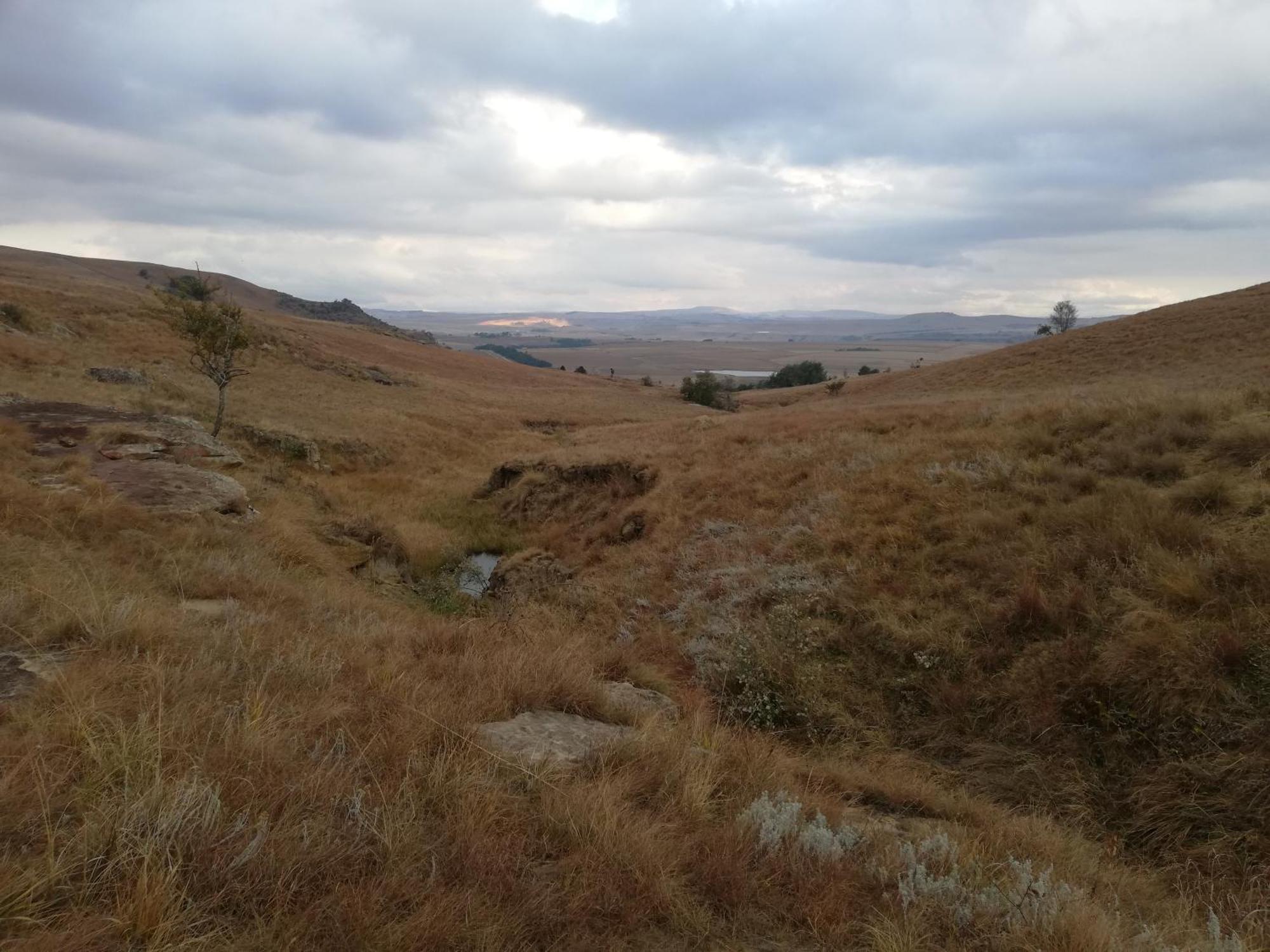 Sheeprun Farmstay Maclear 외부 사진